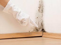 Best Water Damage & Mold Remediation  in Kalama, WA